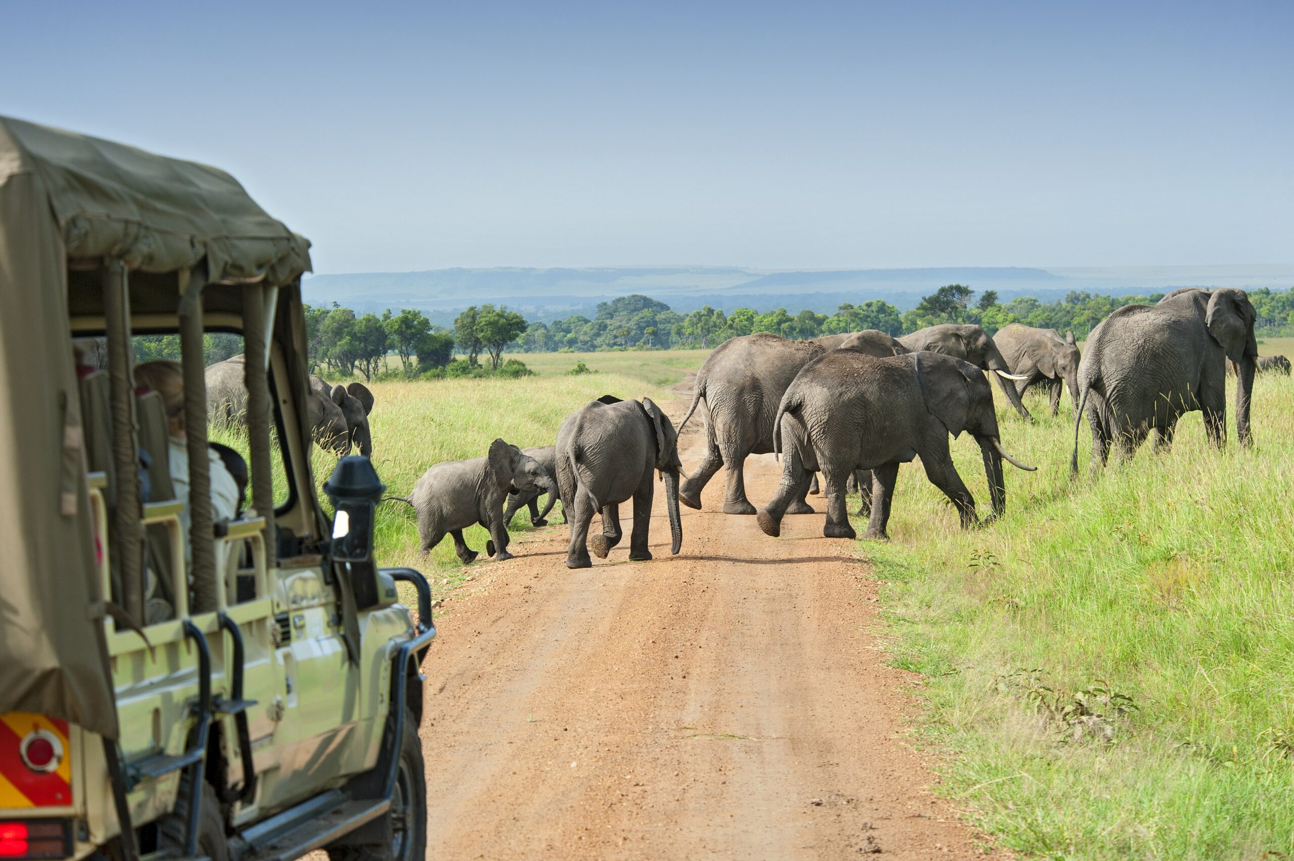 travelling in africa